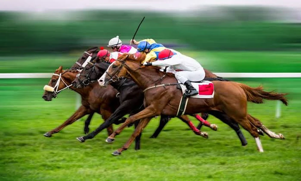 What Makes a Great Horse Racing Betting Site